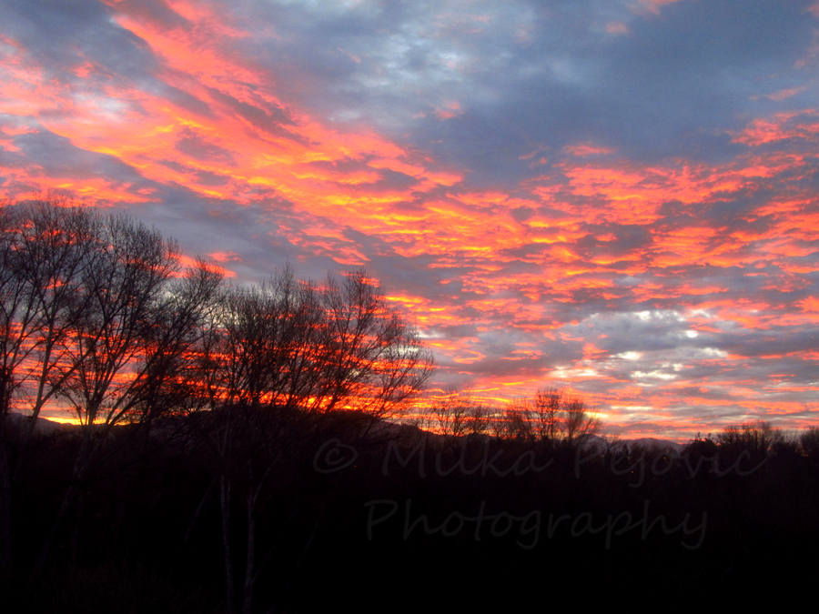 Pink winter sunrise in San Diego