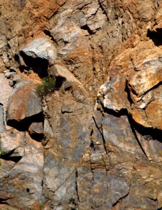 A word a week - face of man and his dog in rock cliff