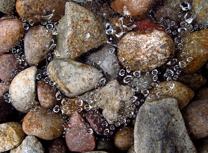 Rain drops on a spider web over river rocks