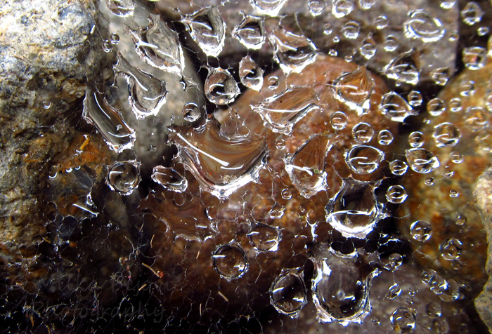 Travel theme: Stones with rain drops on spiderweb