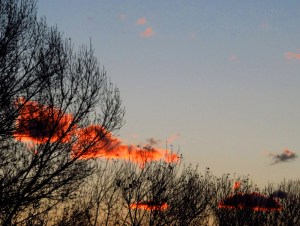 Let’s Be Wild Weekly Photo Challenge – Sunrise with clouds on fire