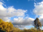 Travel theme: sky with puffy clouds
