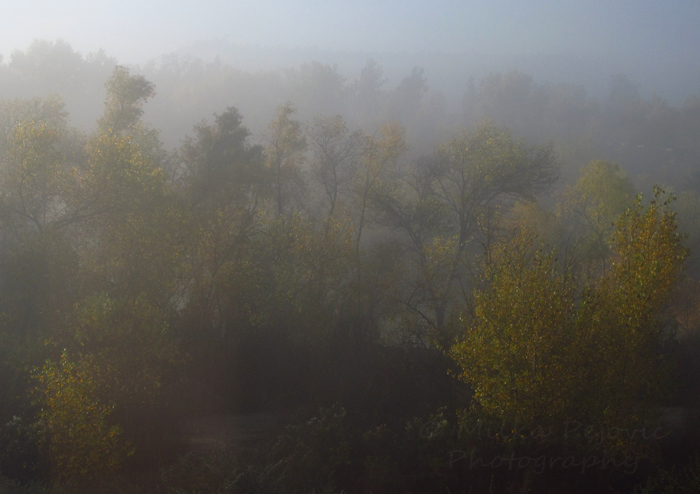 Wordpress weekly photo challenge - Eerie foggy morning in San Diego