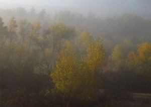 Wordpress weekly photo challenge: the golden hour - fall foliage glows through the fog