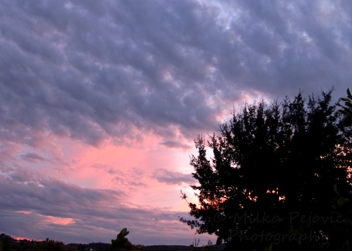 Pink and violet clouds at sunset