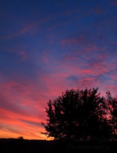 Colorful winter sunset with clouds