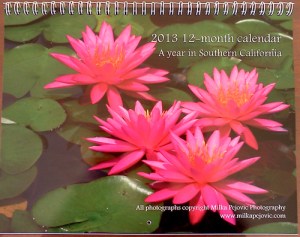 2013 photo calendar