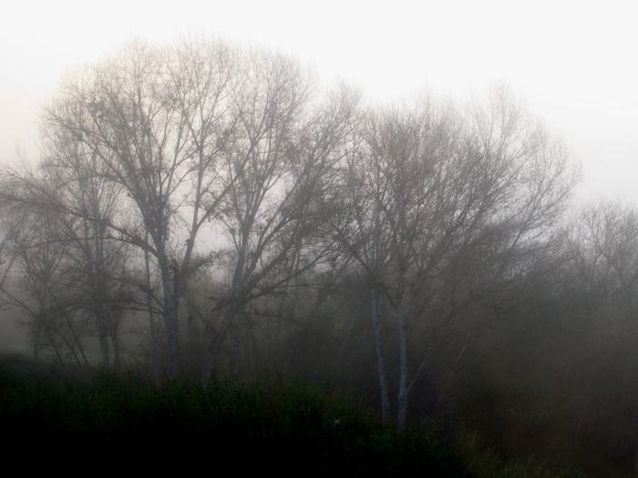 WordPress weekly photo challenge: Changing Seasons - foggy morning in San Diego