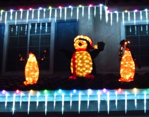 WordPress weekly photo challenge: Illumination