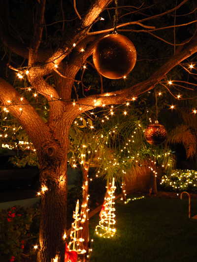 Wordpress weekly photo challenge: Let there be light - Christmas lights