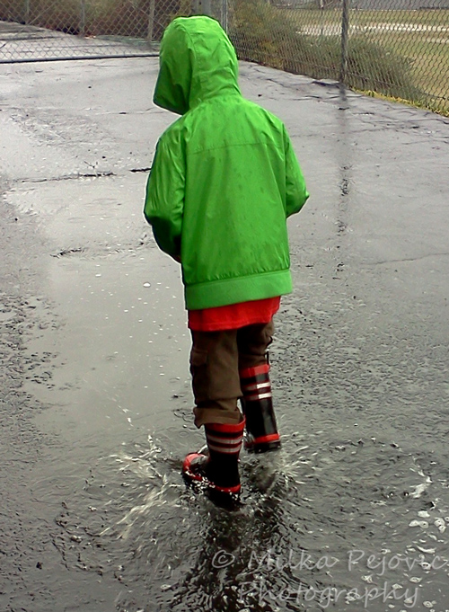 Let’s Be Wild Weekly Photo Challenge – Now - splashing in the puddles