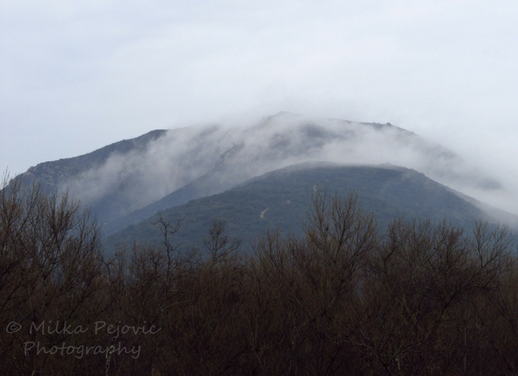 Let’s Be Wild Weekly Photo Challenge – Now - hills covered with clouds
