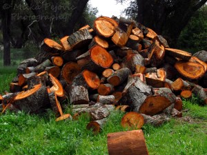 Pile of wood