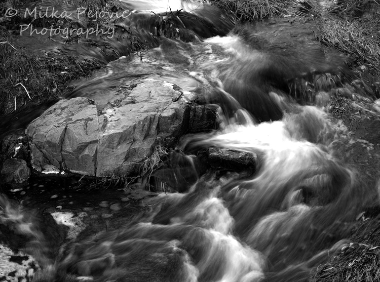 Cee’s Fun Foto Challenge: Black and white water stream