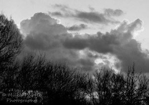 Cee’s Fun Foto Challenge: Black and White or Sepia Tones - a cloudy sunrise