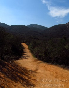 WordPress weekly photo challenge: Forward the hiking path