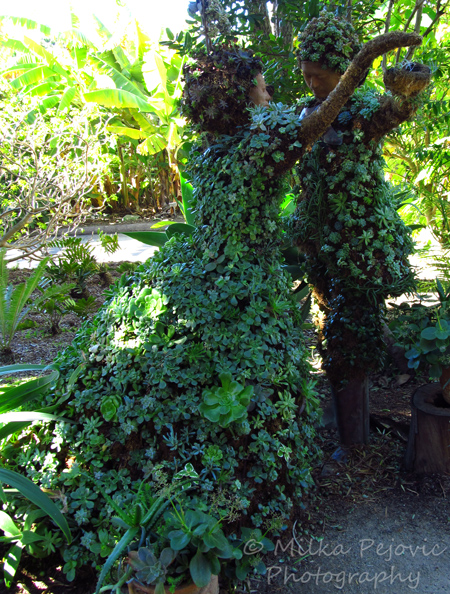 Let's Wild Weekly Photo Challenge: Green topiary at the San Diego Botanic Garden