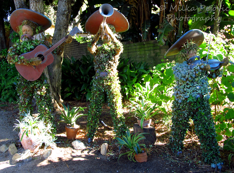 Mariachi band topiary - San Diego Botanic Garden