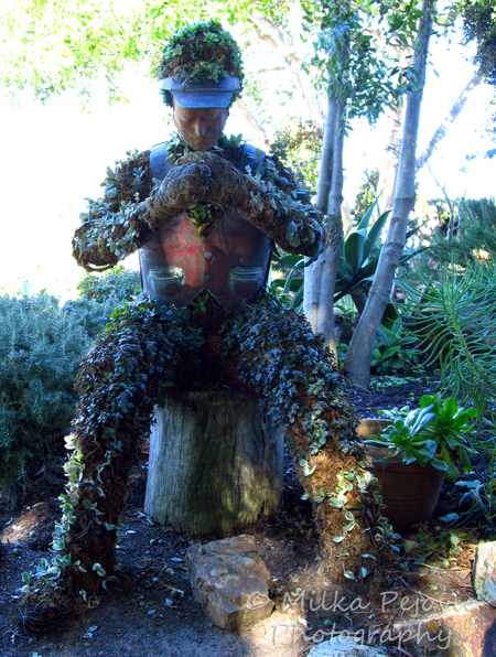 Man admiring nature topiary