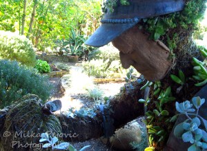 Topiary of a man looking at a butterfly