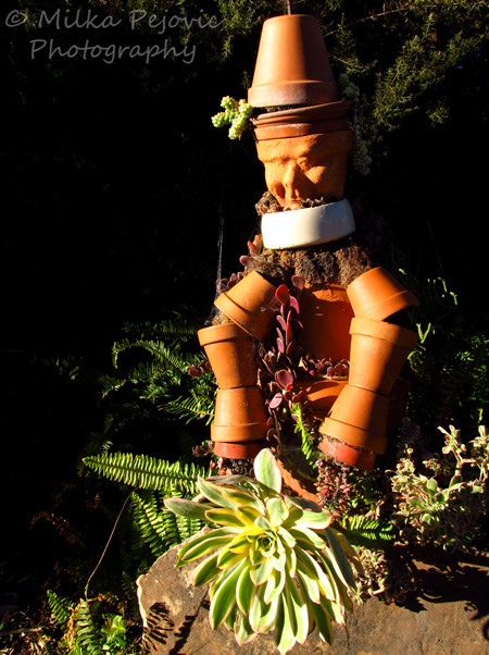 Sculpture out of planting pots