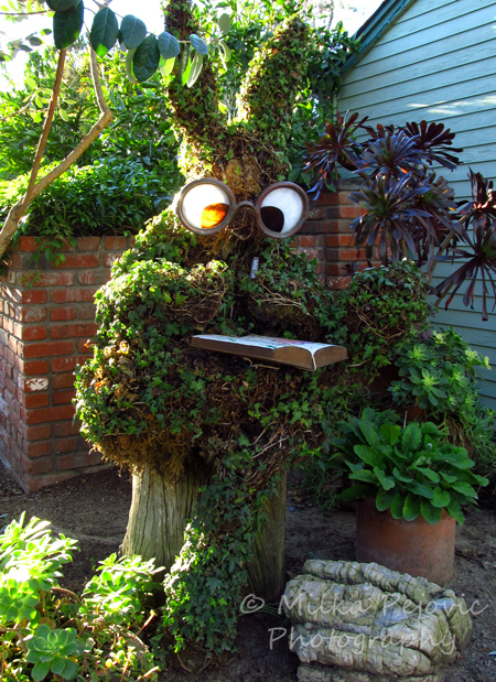 Reading rabbit topiary - San Diego Botanic Garden