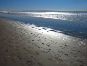 Cee’s Fun Foto Challenge: Earth - San Diego sandy beach