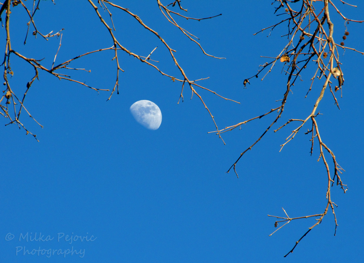 Moon rising in the afternoon
