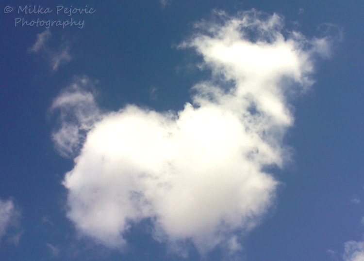 WordPress weekly photo challenge: Up – Clouds in the shape of a dog