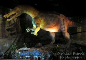 Sunday Post: Attraction - Dino Jaws at the San Diego Natural History Museum