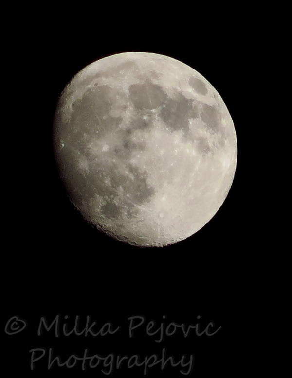WordPress weekly photo challenge: Focus - almost full moon with craters
