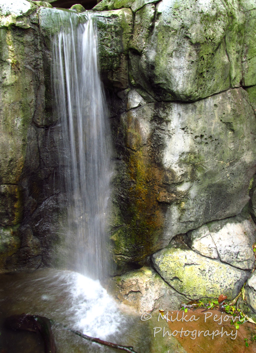 Travel theme: Peaceful waterfall