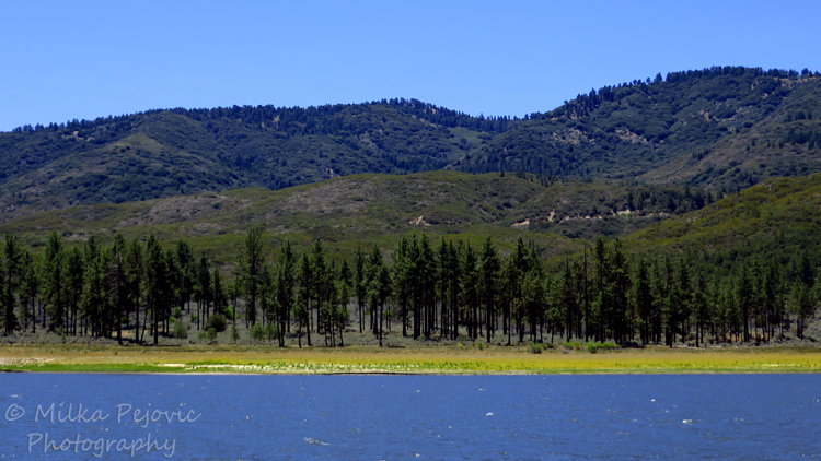 Travel theme: Simplicity of Lake Hemet