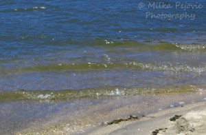 Lines and patterns of a lake's waves