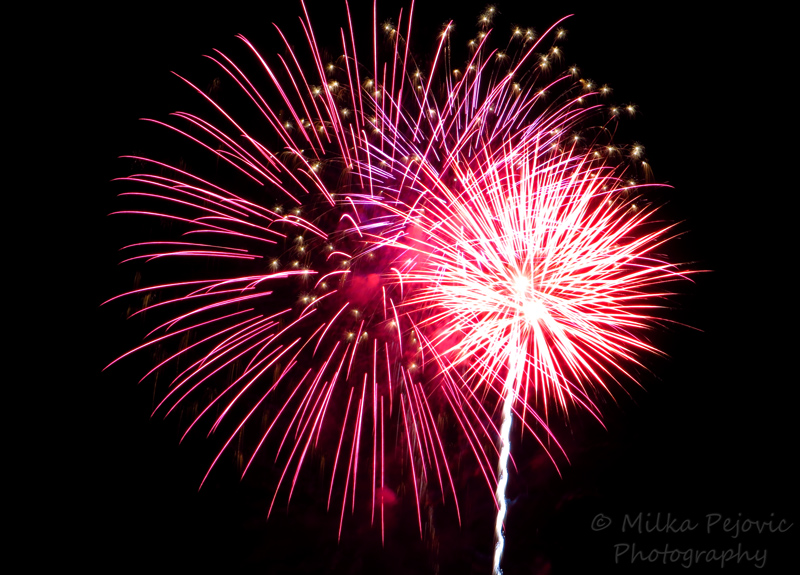 Pink and purple fireworks