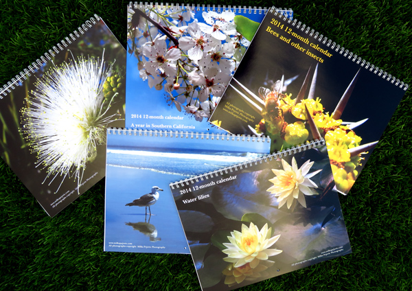 2014 nature photography calendars