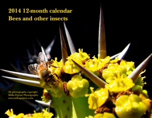 2014 12-month calendar - bees and other insects