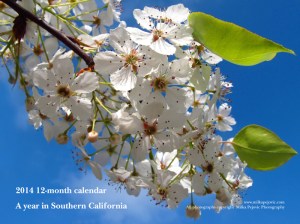 2014 12-month calendar - a year in Southern California