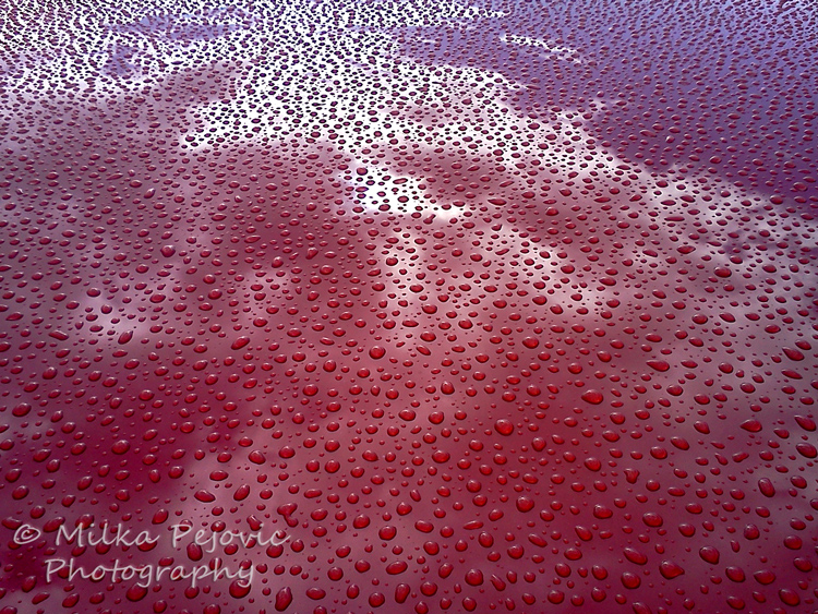 Clouds reflecting on car roof with raindrops