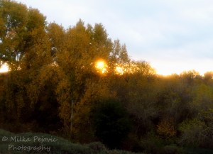 Travel theme: Illuminated golden sunrise in San Diego