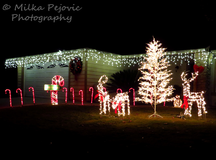 Christmas light reindeer and candy cane decorations