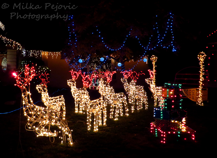 Bright Christmas lights: Rudolph and the reindeer pulling Santa's sleigh