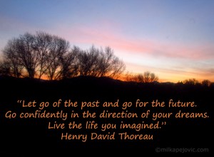 Henry David Thoreau quote