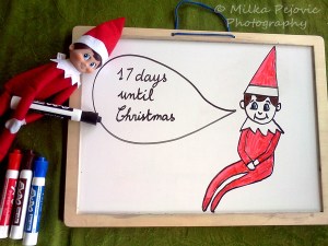 Christmas countdown: the elf on the shelf