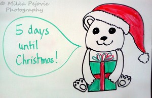Christmas countdown: baby polar bear